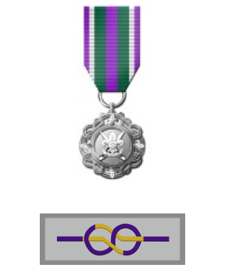 Medal of Valour and Ribbon