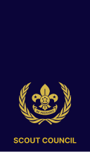President Scout Council Epaulette