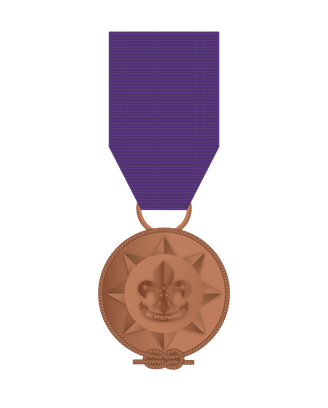 International Service Award (Bronze) Scout Singapore, International Service Award (Bronze)