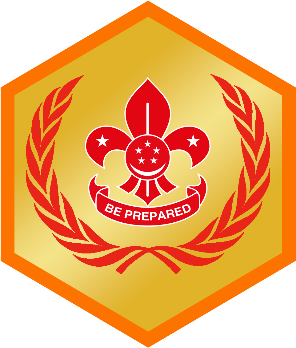 Chief Scouts Award (Cub)