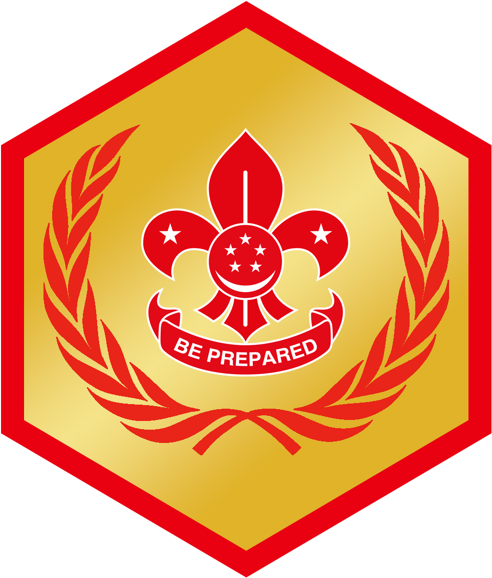 Chief Scouts Award (Rover)