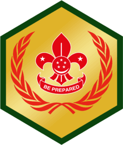 Chief Scouts Award (Scout)