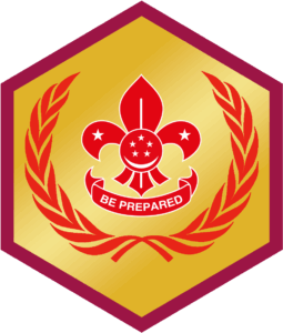 Chief Scout’s Award (Venture)